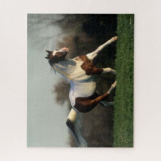 Bob Langrish | Pinto Arab Mane and Schwanz Flows Puzzle (Vertikal)