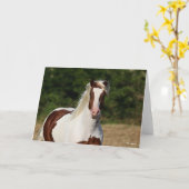 Bob Langrish | Pinto Haflinger Headshot Karte (Gelbe Blume)