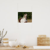 Bob Langrish | Pinto Haflinger Headshot Poster (Küche)