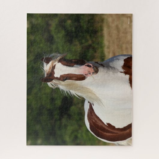 Bob Langrish | Pinto Haflinger Headshot Puzzle (Vertikal)