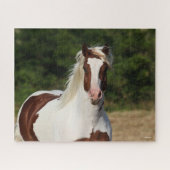 Bob Langrish | Pinto Haflinger Headshot Puzzle (Horizontal)