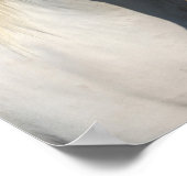 Bob Langrish | Pinto Haflinger Pferdekopfschuss Poster (Ecke)