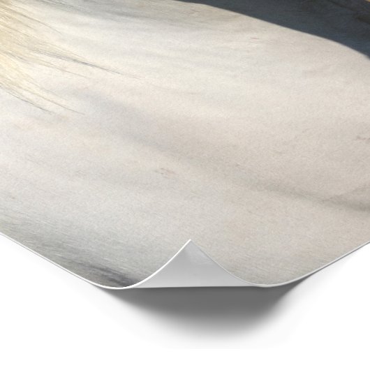 Bob Langrish | Pinto Haflinger Pferdekopfschuss Poster (Ecke)