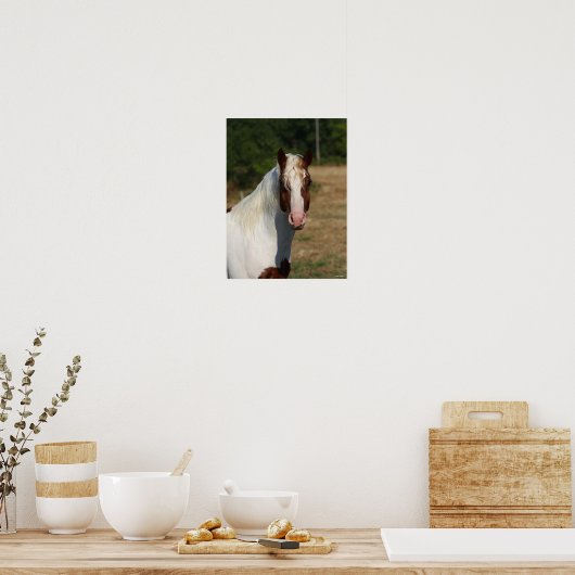 Bob Langrish | Pinto Haflinger Pferdekopfschuss Poster (Küche)