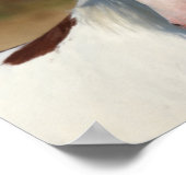 Bob Langrish | Pinto Haflinger-Stallion-Headshot Poster (Ecke)