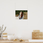 Bob Langrish | Pinto Haflinger-Stallion-Headshot Poster (Küche)