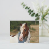 Bob Langrish | Pinto Haflinger-Stallion-Headshot Postkarte (Stehend Vorderseite)
