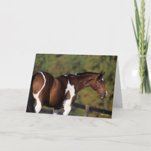 Bob Langrish Pinto Warmblood Stehend Headshot Karte