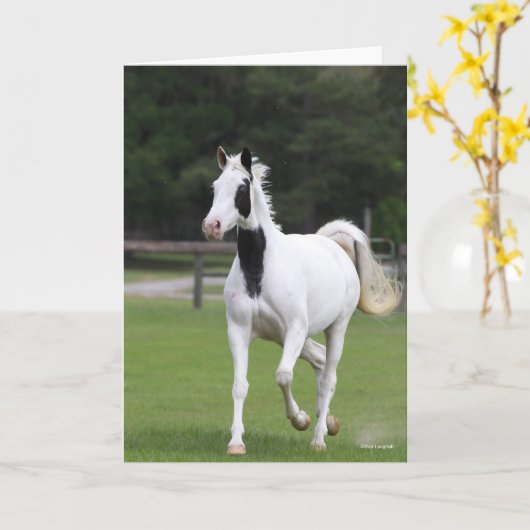 Bob Langrish | Pinto Warmblut Karte (Gelbe Blume)