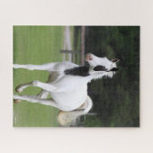 Bob Langrish | Pinto Warmblut Puzzle (Horizontal)