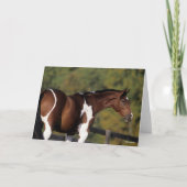 Bob Langrish | Pinto Warmblut Stehender Headshot Karte (Vorderseite)