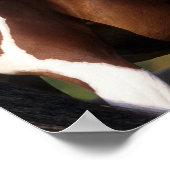 Bob Langrish | Pinto Warmblut Stehender Headshot Poster (Ecke)