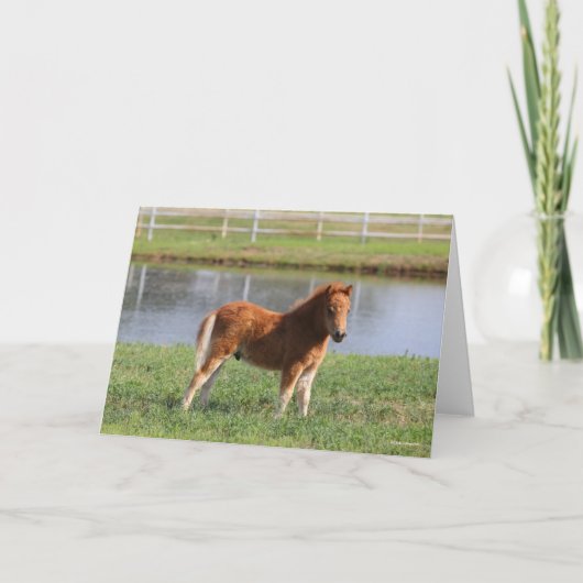 Bob Langrish | Pony Foal-Miniatur-Stehende Karte (Vorderseite)