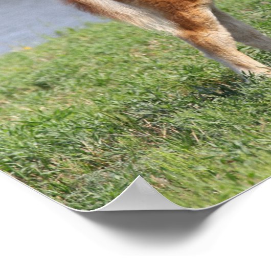 Bob Langrish | Pony Foal-Miniatur-Stehende Poster (Ecke)