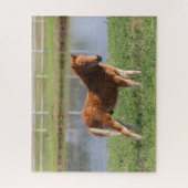 Bob Langrish | Pony Foal-Miniatur-Stehende Puzzle (Vertikal)