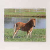 Bob Langrish | Pony Foal-Miniatur-Stehende Puzzle (Horizontal)