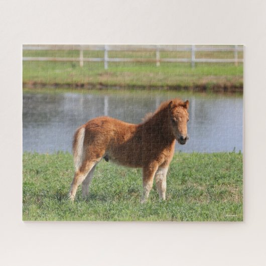 Bob Langrish | Pony Foal-Miniatur-Stehende Puzzle (Horizontal)