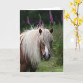 Bob Langrish | Pony-Headshot von Shetland mit Blum Karte (Gelbe Blume)