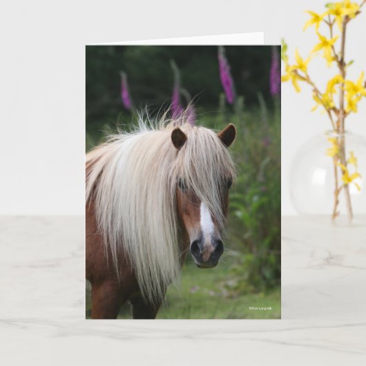 Bob Langrish | Pony-Headshot von Shetland mit Blum Karte (Gelbe Blume)