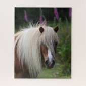 Bob Langrish | Pony-Headshot von Shetland mit Blum Puzzle (Vertikal)