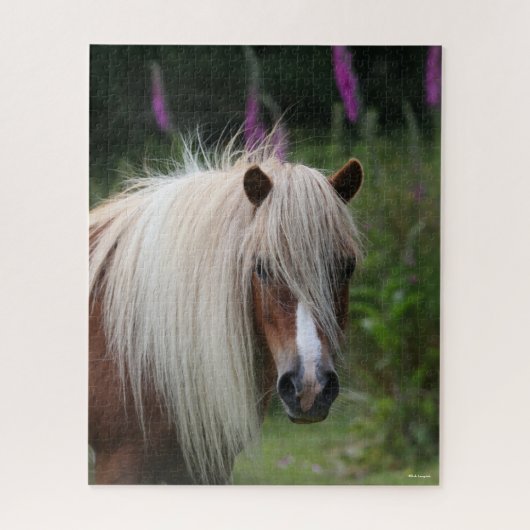 Bob Langrish | Pony-Headshot von Shetland mit Blum Puzzle (Vertikal)