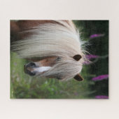 Bob Langrish | Pony-Headshot von Shetland mit Blum Puzzle (Horizontal)