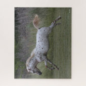 Bob Langrish | Pony of America Leaping Puzzle (Vertikal)