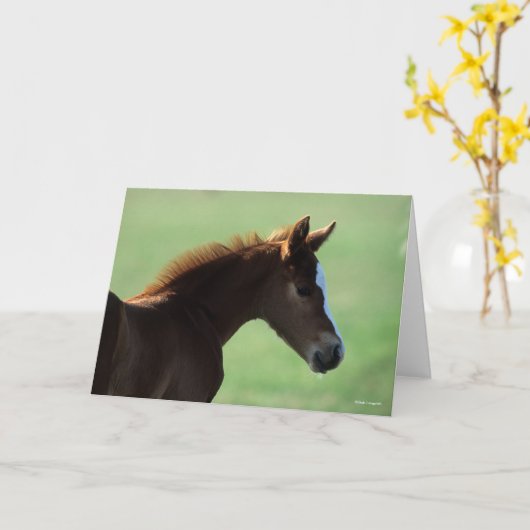 Bob Langrish | Quarter Horse Foal Backlit Karte (Gelbe Blume)