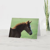 Bob Langrish | Quarter Horse Foal Backlit Karte (Vorderseite)