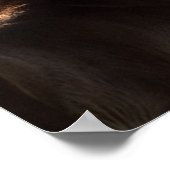 Bob Langrish | Quarter Horse Foal Backlit Poster (Ecke)