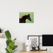 Bob Langrish | Quarter Horse Foal Backlit Poster (Heimbüro)
