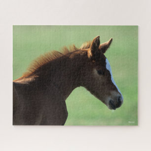Bob Langrish Quarter Horse Foal Backlit Puzzle
