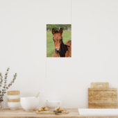 Bob Langrish | Quarter Horse Foal Headshot Poster (Küche)