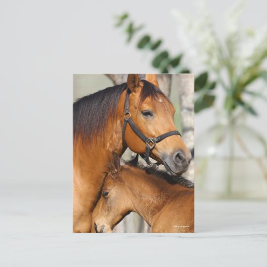 Bob Langrish Quarter Horse Mare and Foal Headshot Postkarte (Stehend Vorderseite)