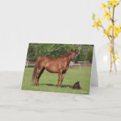 Bob Langrish Quarter Horse Mare and Foal Standing Karte (Gelbe Blume)