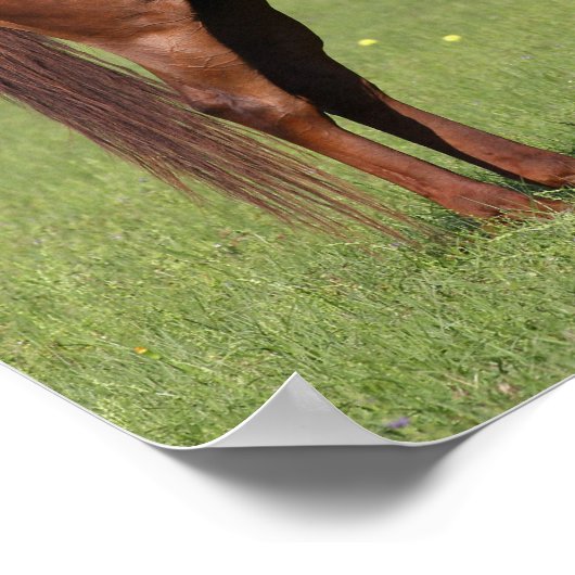 Bob Langrish Quarter Horse Mare and Foal Standing Poster (Ecke)