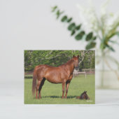 Bob Langrish Quarter Horse Mare and Foal Standing Postkarte (Stehend Vorderseite)
