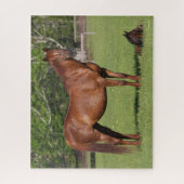 Bob Langrish Quarter Horse Mare and Foal Standing Puzzle (Vertikal)