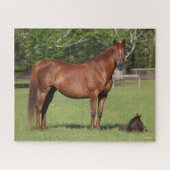 Bob Langrish Quarter Horse Mare and Foal Standing Puzzle (Horizontal)