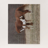 Bob Langrish | Quarter Horse Mare and Paint Foal Puzzle (Vertikal)