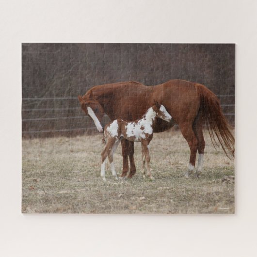 Bob Langrish | Quarter Horse Mare and Paint Foal Puzzle (Horizontal)