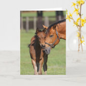 Bob Langrish Quarter Horse Mare und Foal Cuddling Karte (Gelbe Blume)