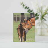 Bob Langrish Quarter Horse Mare und Foal Cuddling Postkarte (Stehend Vorderseite)