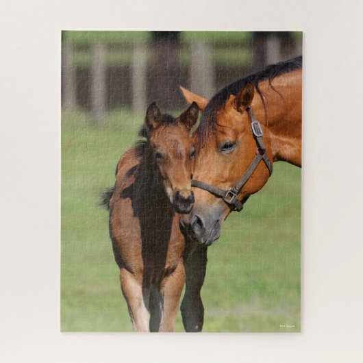 Bob Langrish Quarter Horse Mare und Foal Cuddling Puzzle (Vertikal)