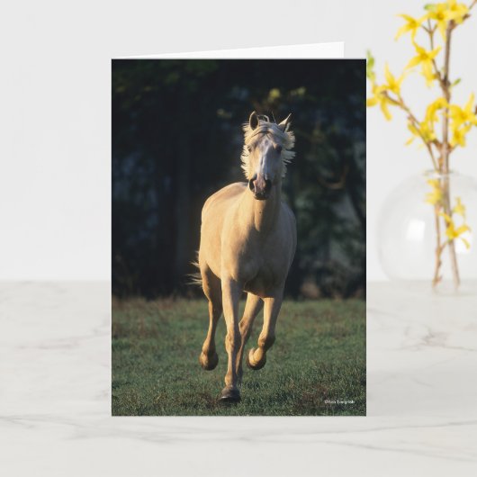 Bob Langrish | Reitpferd von Palomino Karte (Gelbe Blume)