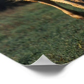 Bob Langrish | Reitpferd von Palomino Poster (Ecke)