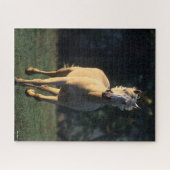 Bob Langrish | Reitpferd von Palomino Puzzle (Horizontal)