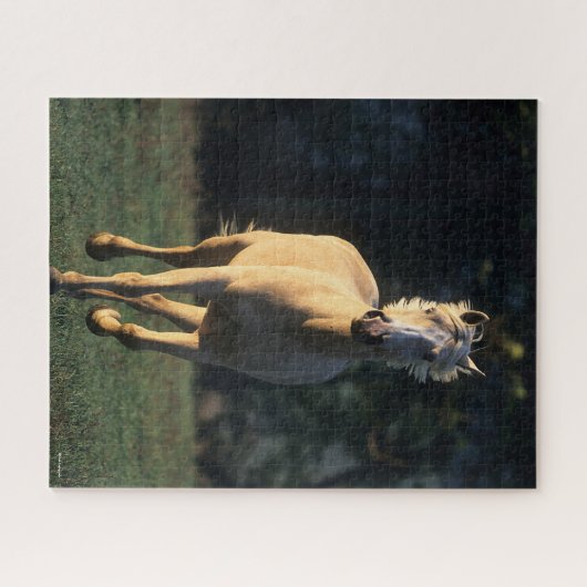 Bob Langrish | Reitpferd von Palomino Puzzle (Horizontal)