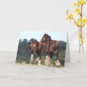 Bob Langrish | Reitpferde Karte (Gelbe Blume)