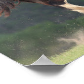 Bob Langrish | Reitpferde Poster (Ecke)